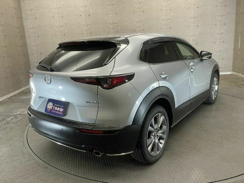 CX-30-3