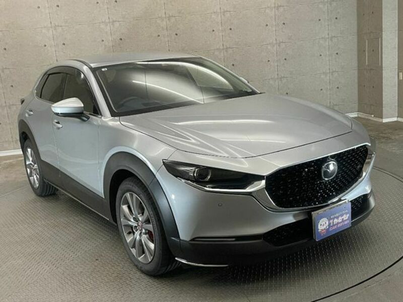 CX-30-4