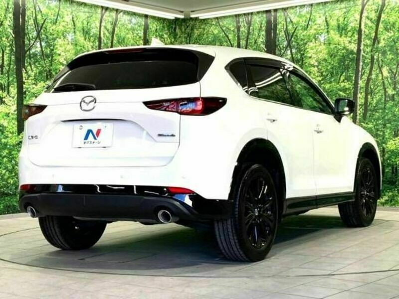 CX-5-17