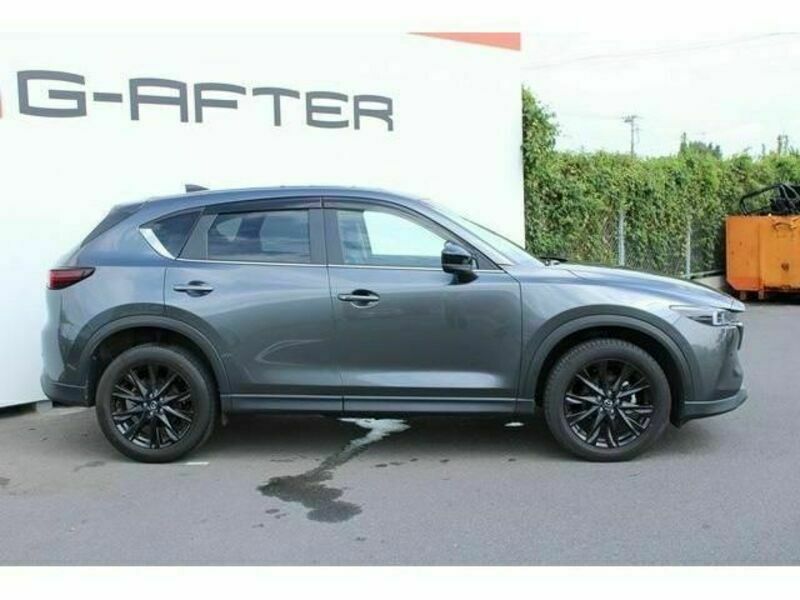 CX-5-6