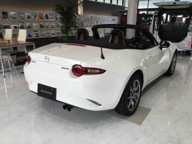 ROADSTER-3