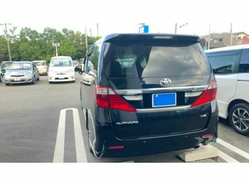 ALPHARD-6