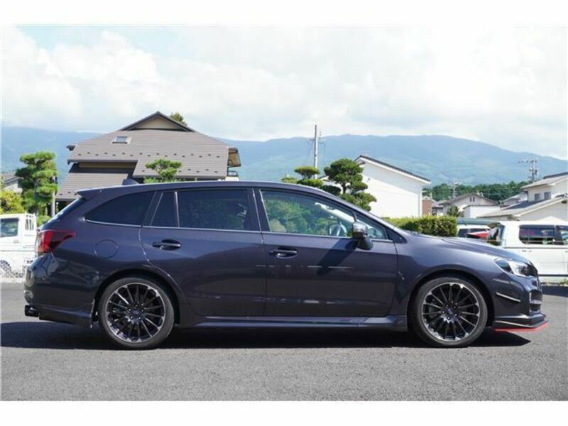 LEVORG-11