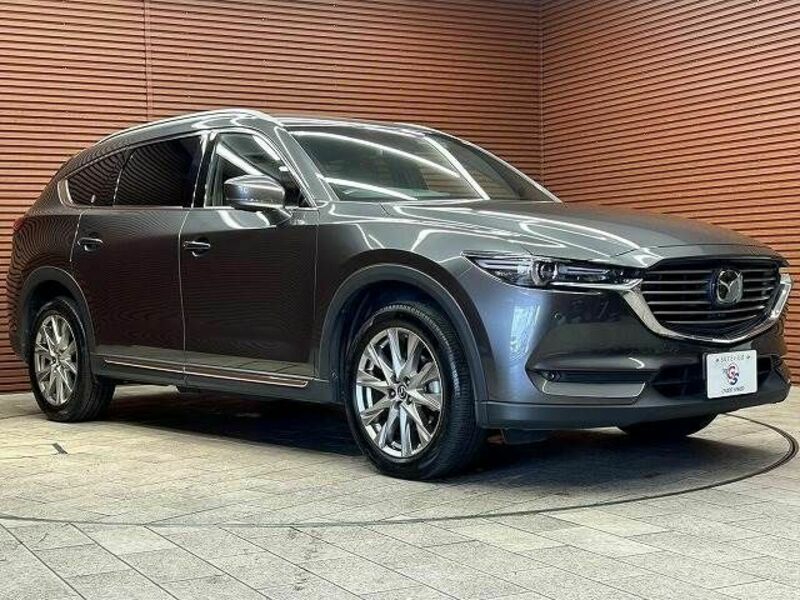 CX-8-13