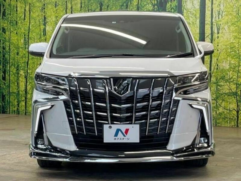 ALPHARD-16