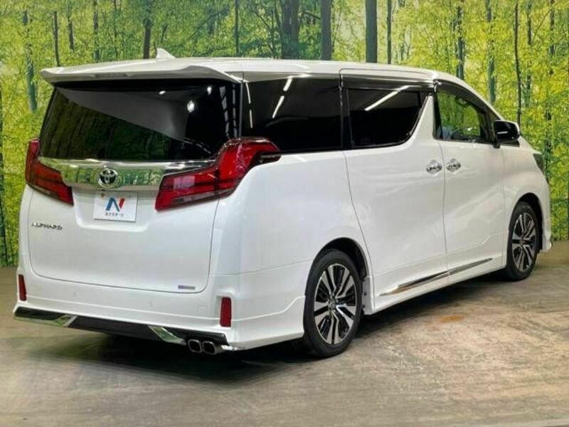 ALPHARD-19