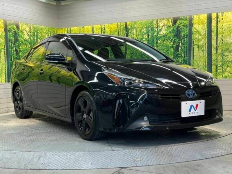 PRIUS-16