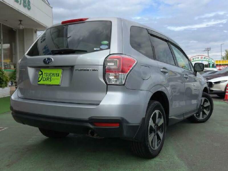 FORESTER-1