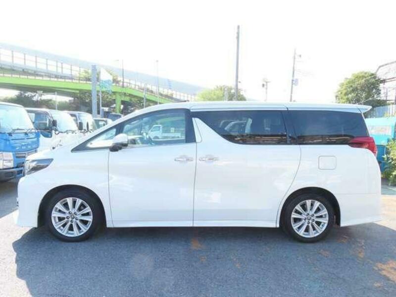 ALPHARD-18