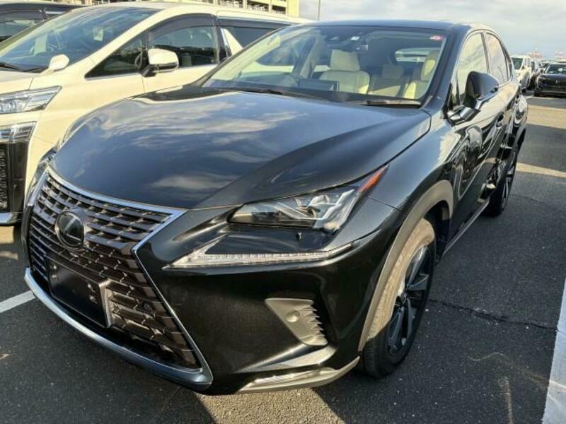 LEXUS　NX