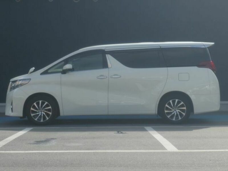 ALPHARD-19