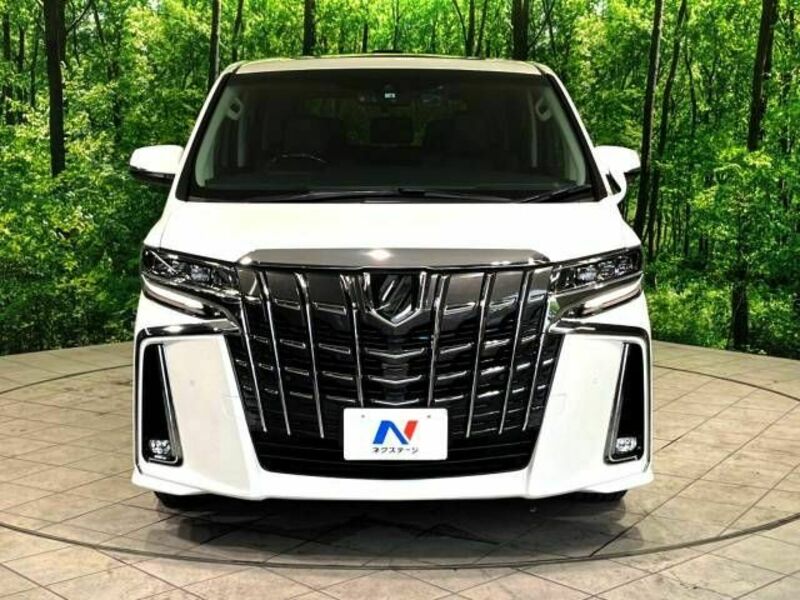 ALPHARD-15