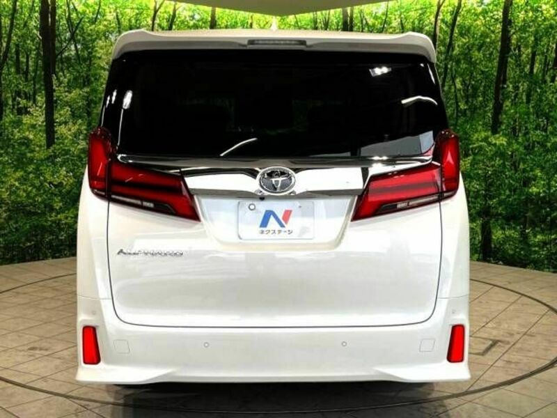 ALPHARD-16