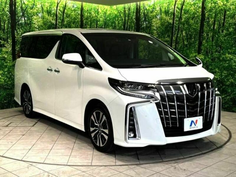 ALPHARD-17