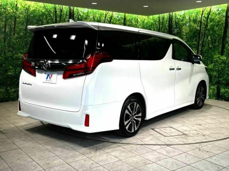 ALPHARD-18