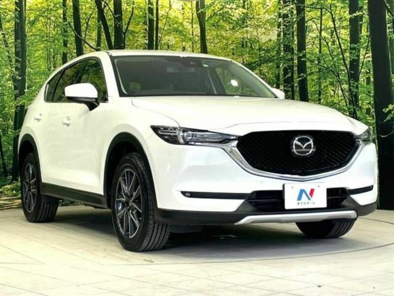 CX-5-16