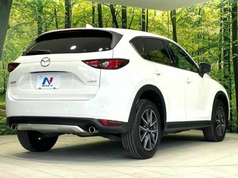 CX-5-17