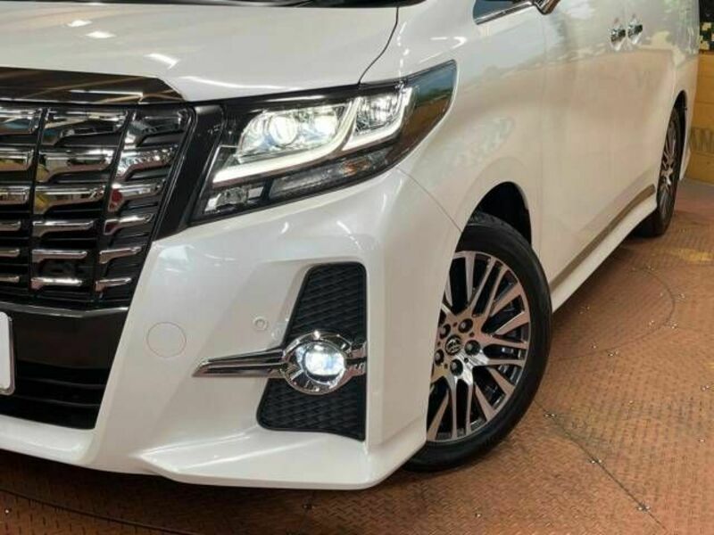 ALPHARD-14