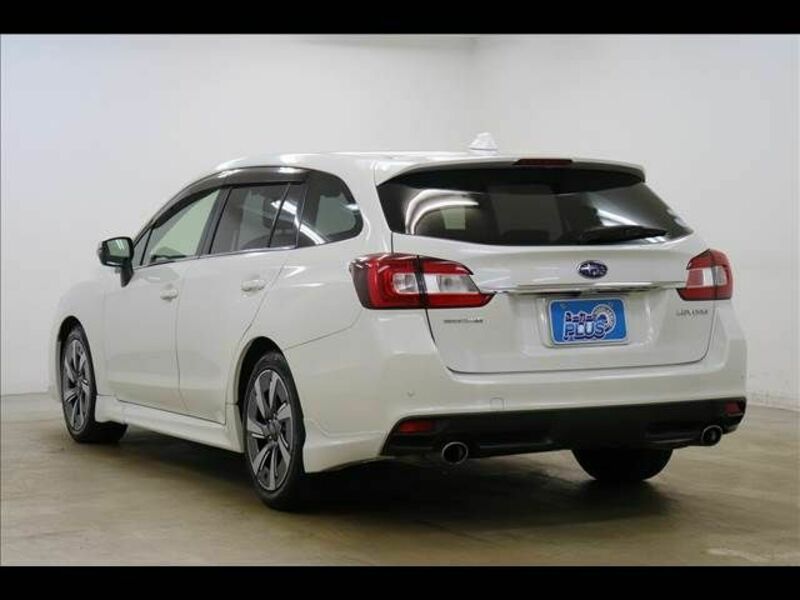 LEVORG-19