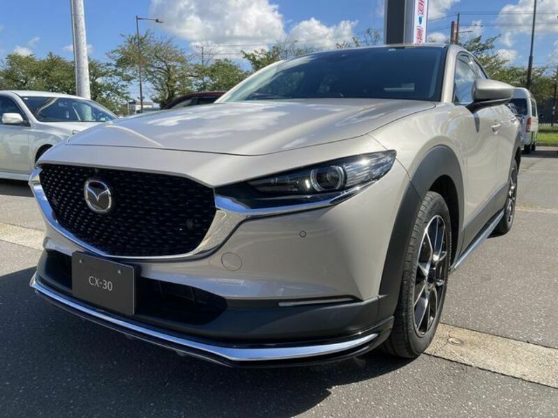 CX-30