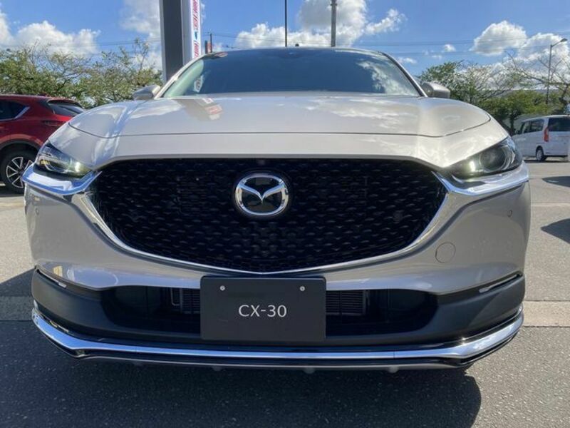 CX-30-3