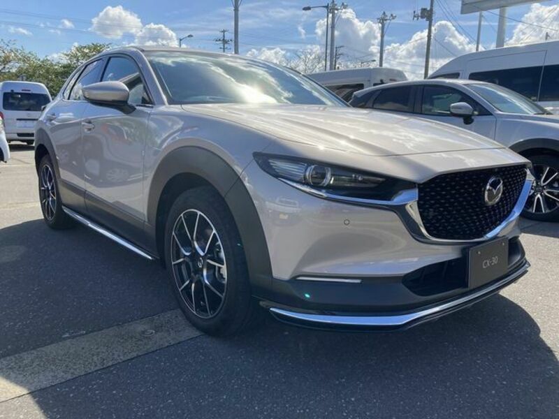 CX-30-4