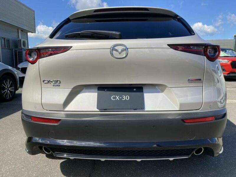 CX-30-7