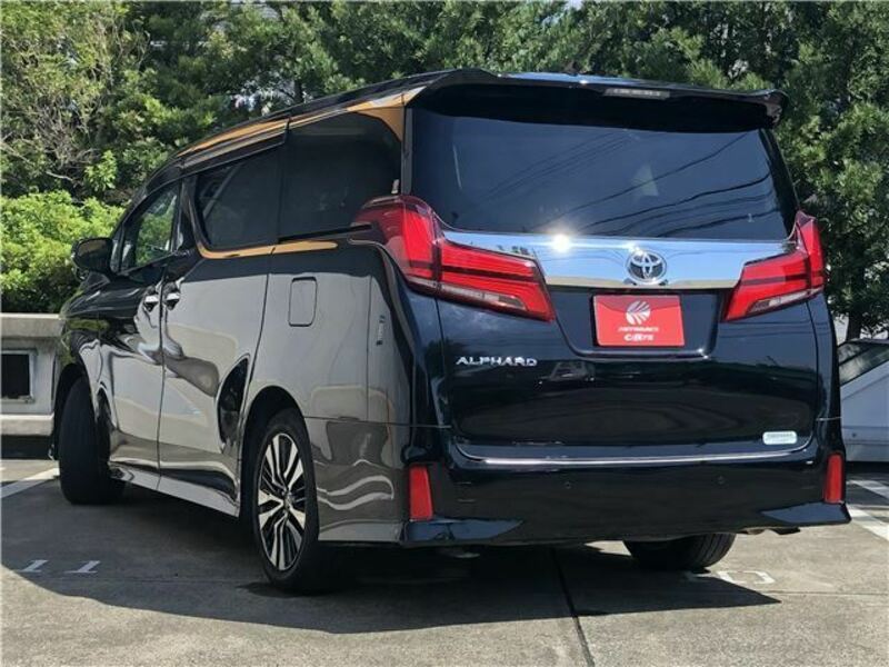 ALPHARD-6