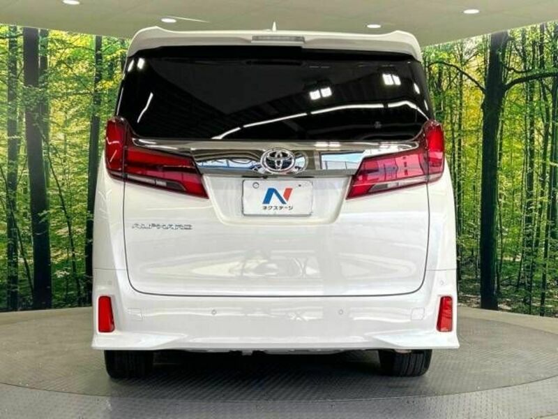 ALPHARD-16