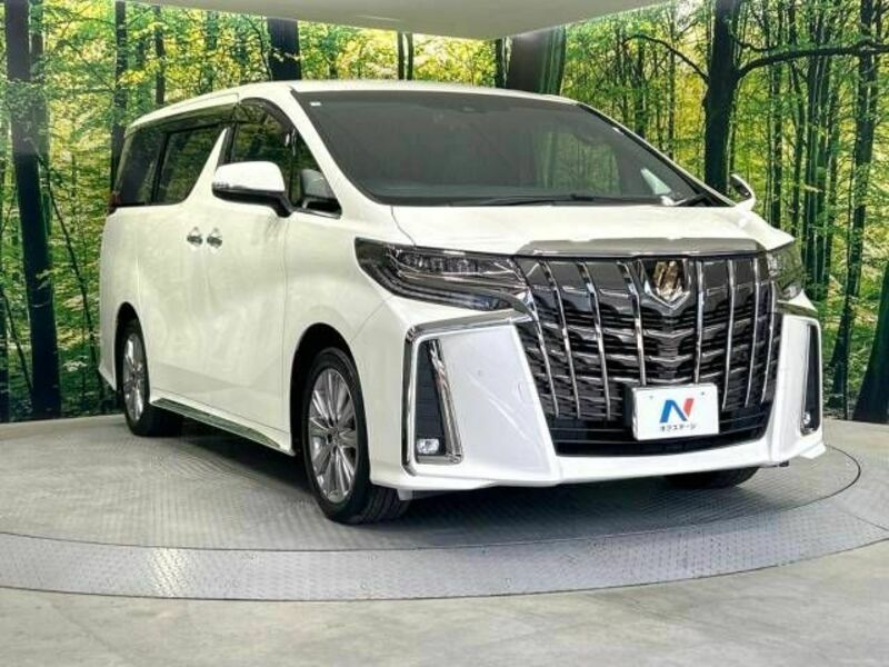 ALPHARD-17