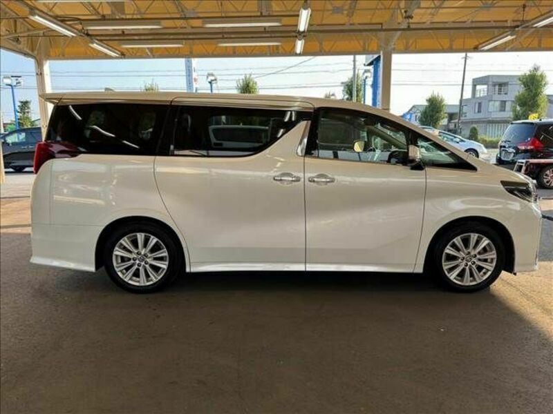 ALPHARD-16