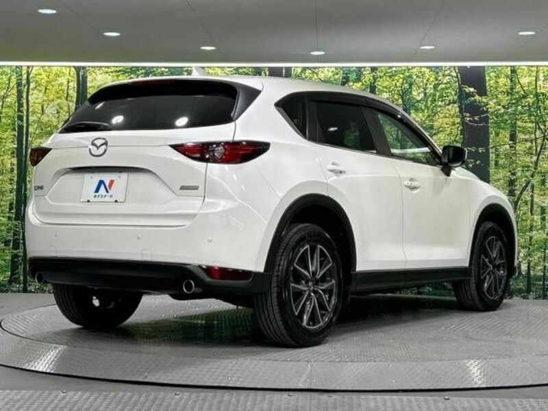 CX-5-17