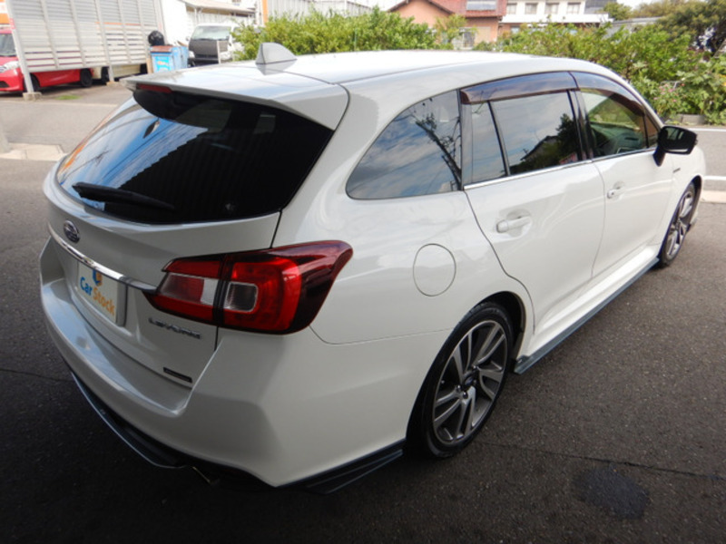 LEVORG-10