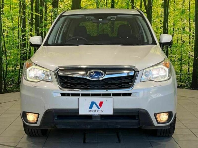 FORESTER-16