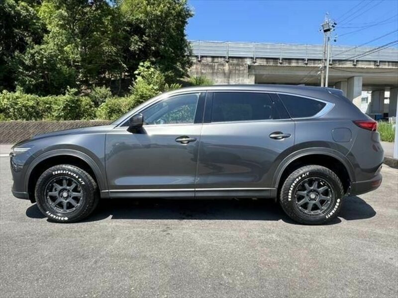 CX-8-18