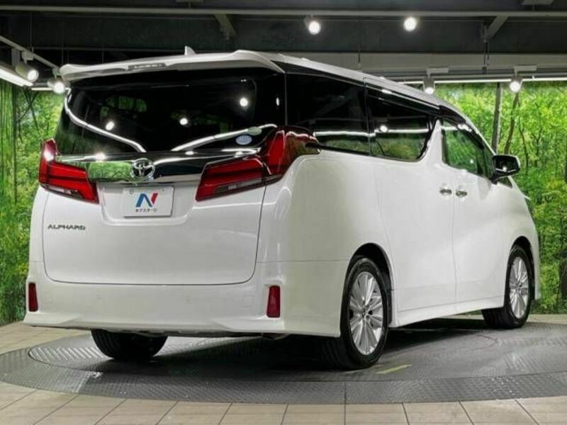 ALPHARD-17