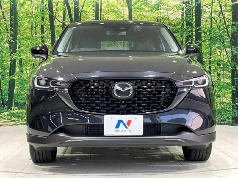 CX-5-14