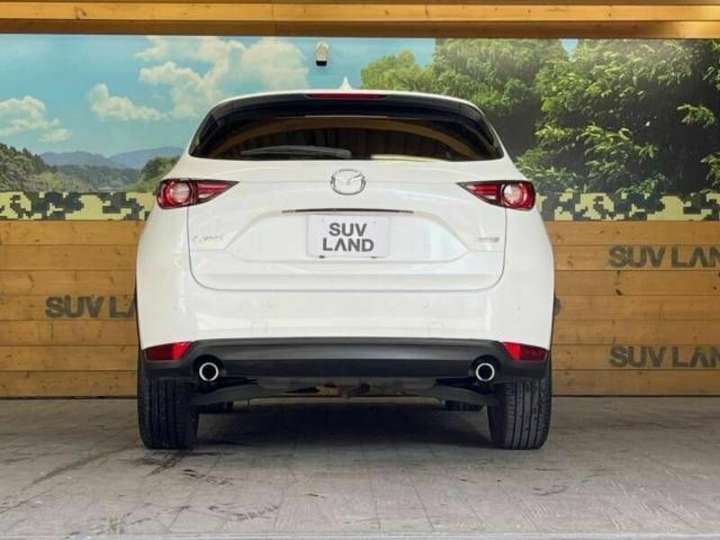 CX-5-17