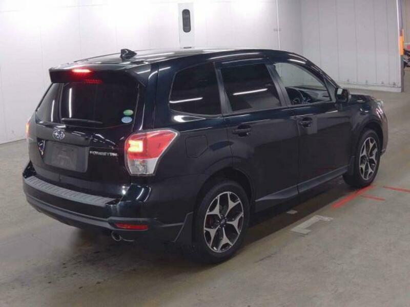 FORESTER-1