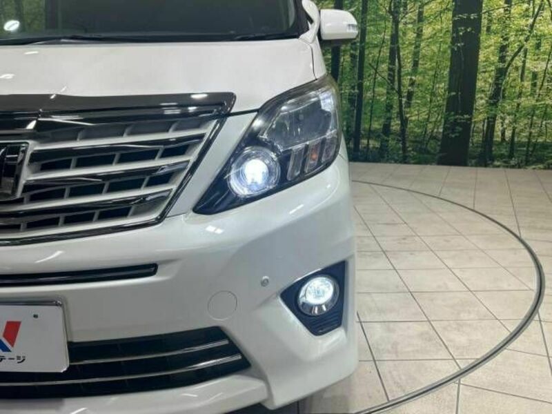 ALPHARD-12