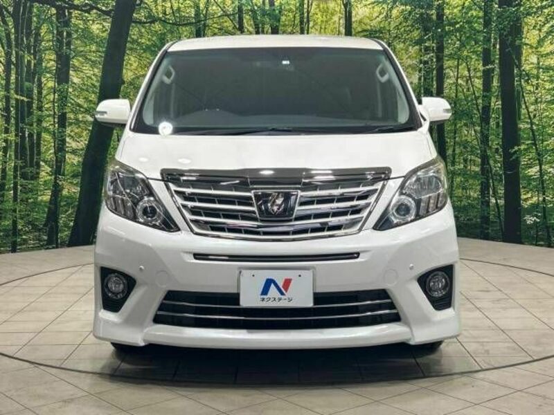 ALPHARD-14