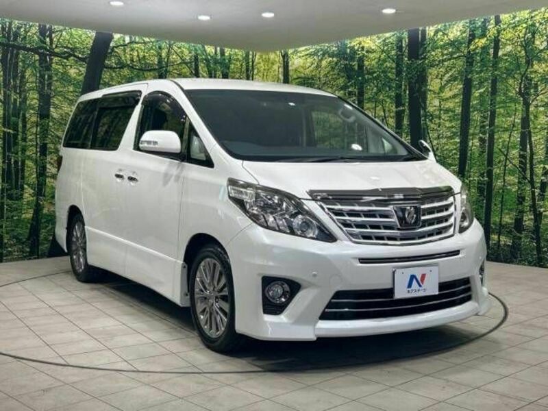 ALPHARD-16