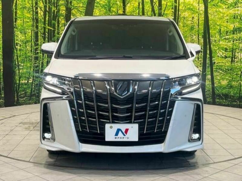 ALPHARD-15