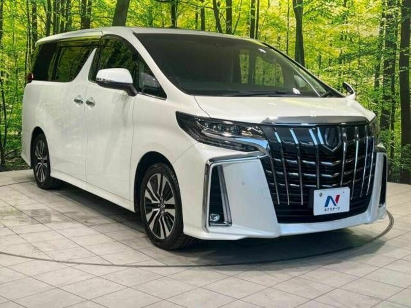 ALPHARD-17