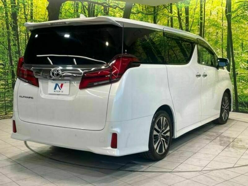 ALPHARD-18