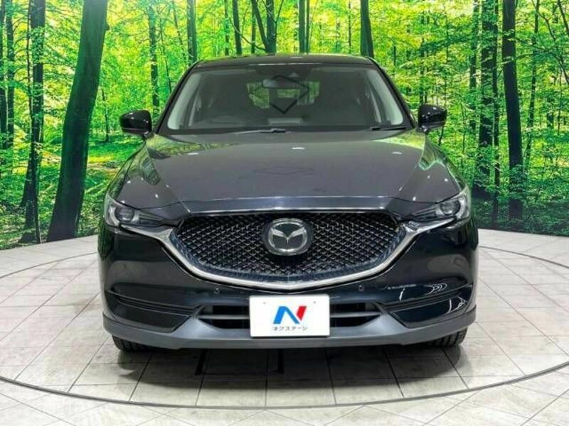 CX-5-14