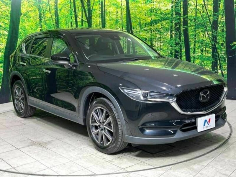 CX-5-16