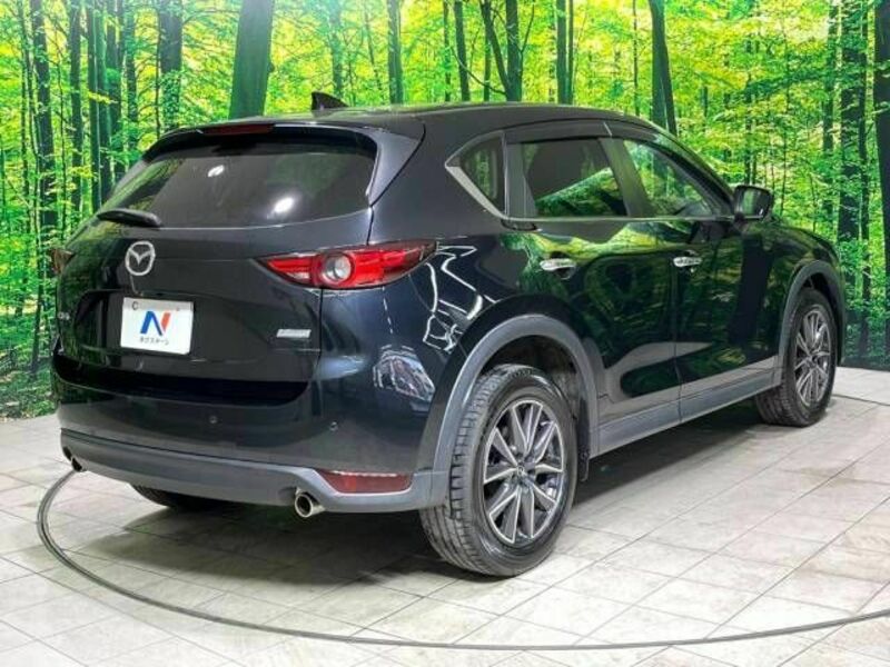 CX-5-17