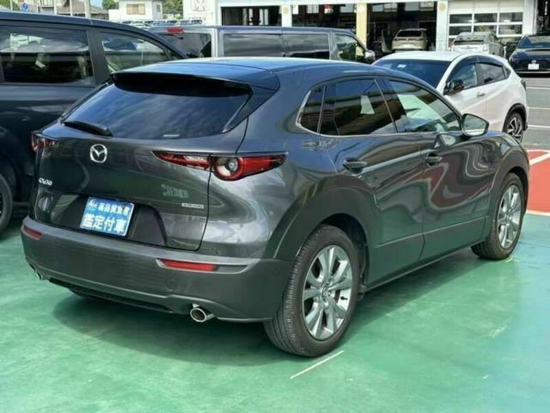 CX-30-11