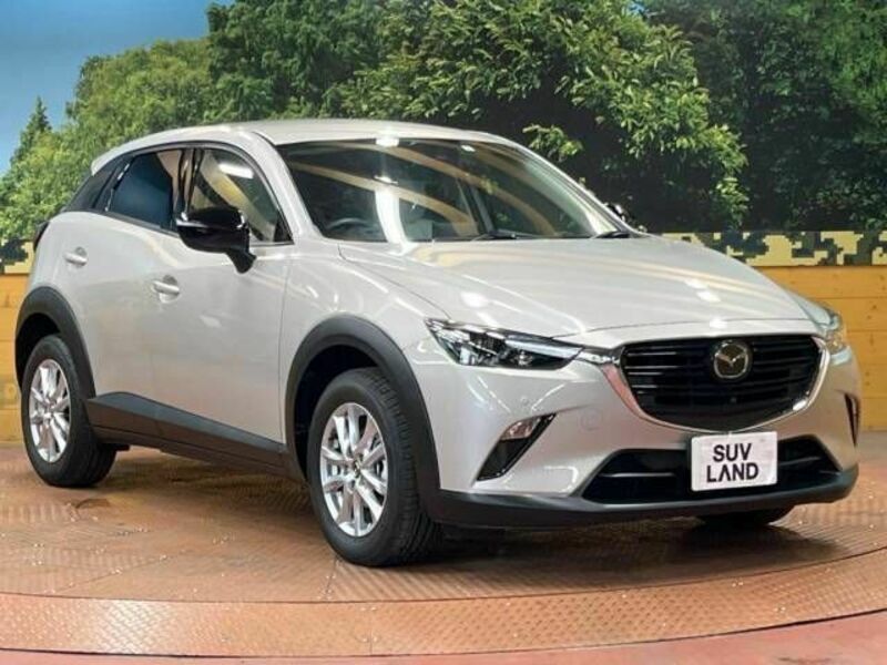 CX-3-19